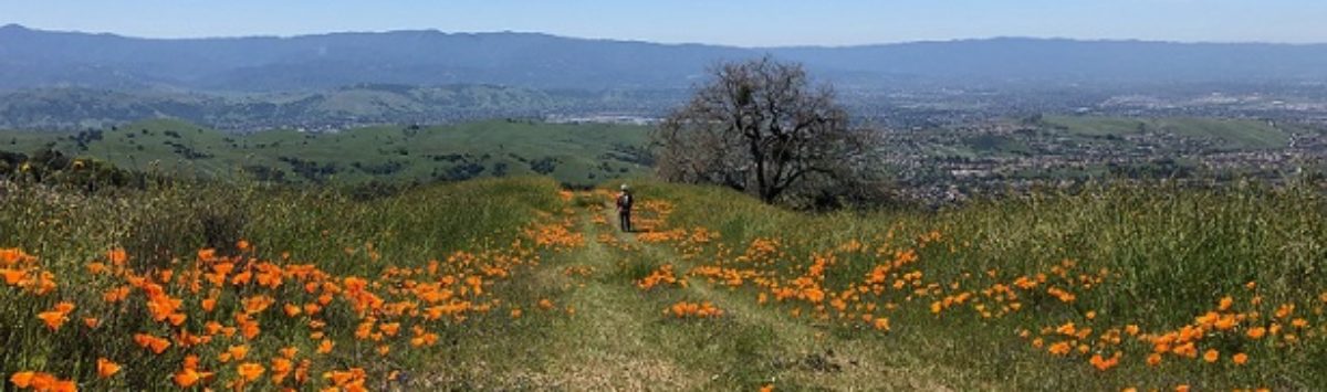 Villages Hiking Club, San Jose, CA