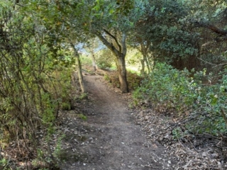 Bay 4