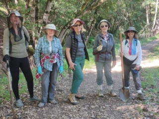 Bobcat Trail 3