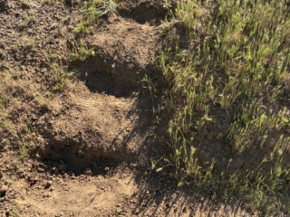 Switchback 3