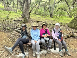 Bench 10