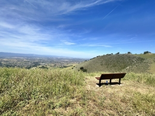 Bench 11