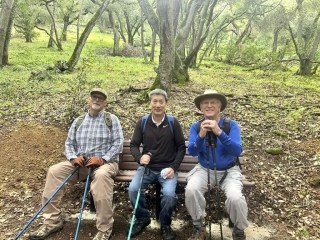 Bench 12