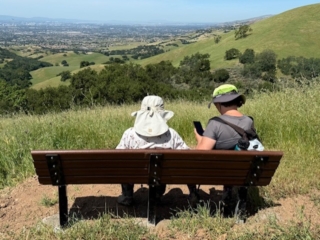 Bench 5a