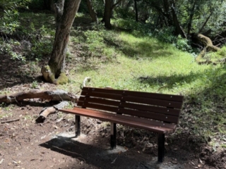 Bench 6