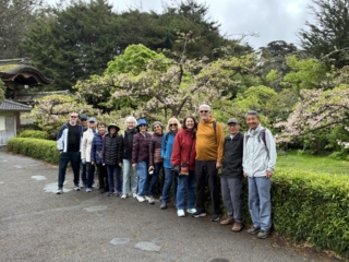 Japanese Tea Garden 15