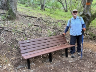 bench 1
