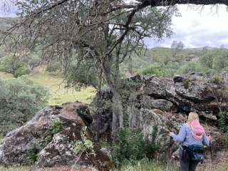 BCW Hike 2026-4-25 6