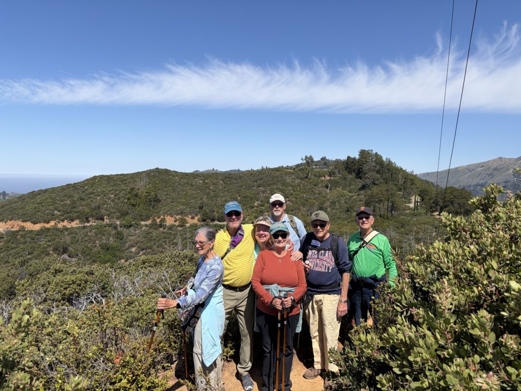 Big Sur 75