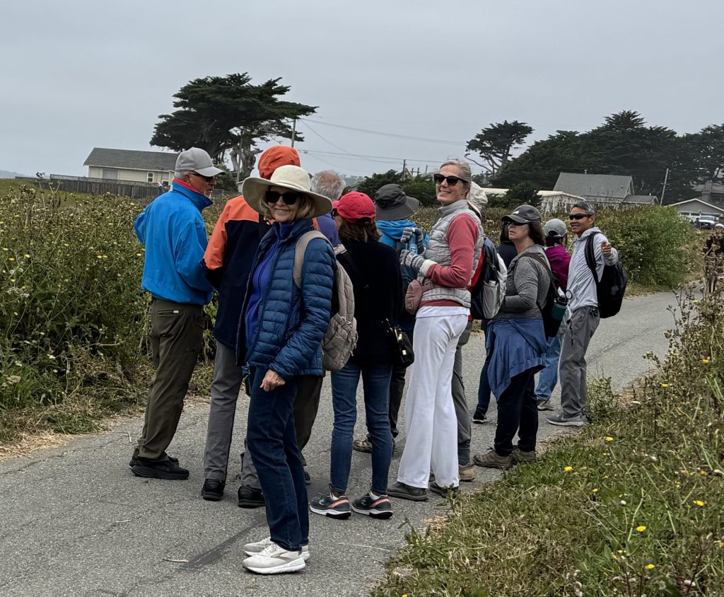 Half Moon Bay 1