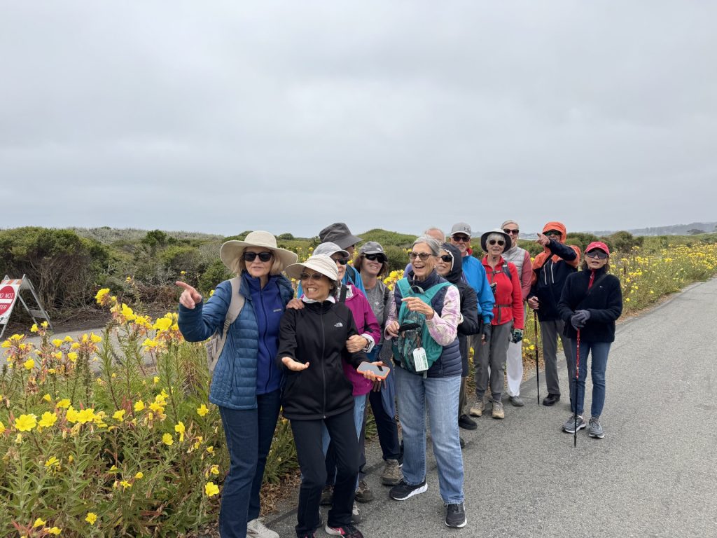 Half Moon Bay 6